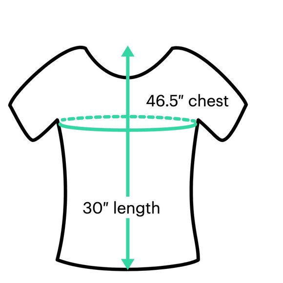 Cactus Jack Cactus Trails Grey and Purple Size L Pullover Hoodie - Picture 3 of 3